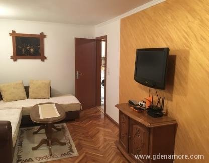 Maslinjak, Apartman GRAND, privatni smeštaj u mestu Rafailovići, Crna Gora - dnevna soba 2